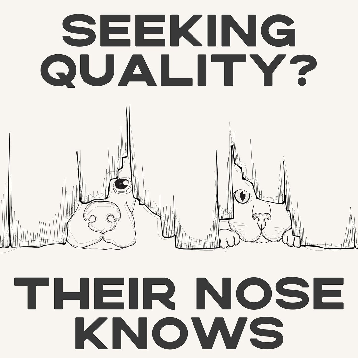 JACK'S PREMIUM Natural Pig Ears for Dogs - Large Ears - Made in The USA Wood Smoked, Preservative Free Dog Chew - Ideal for Small, Medium, and Large Dogs (12, Whole Pig Ear)