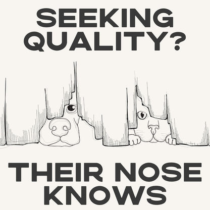 JACK'S PREMIUM Natural Pig Ears for Dogs - Large Ears - Made in The USA Wood Smoked, Preservative Free Dog Chew - Ideal for Small, Medium, and Large Dogs (12, Whole Pig Ear)