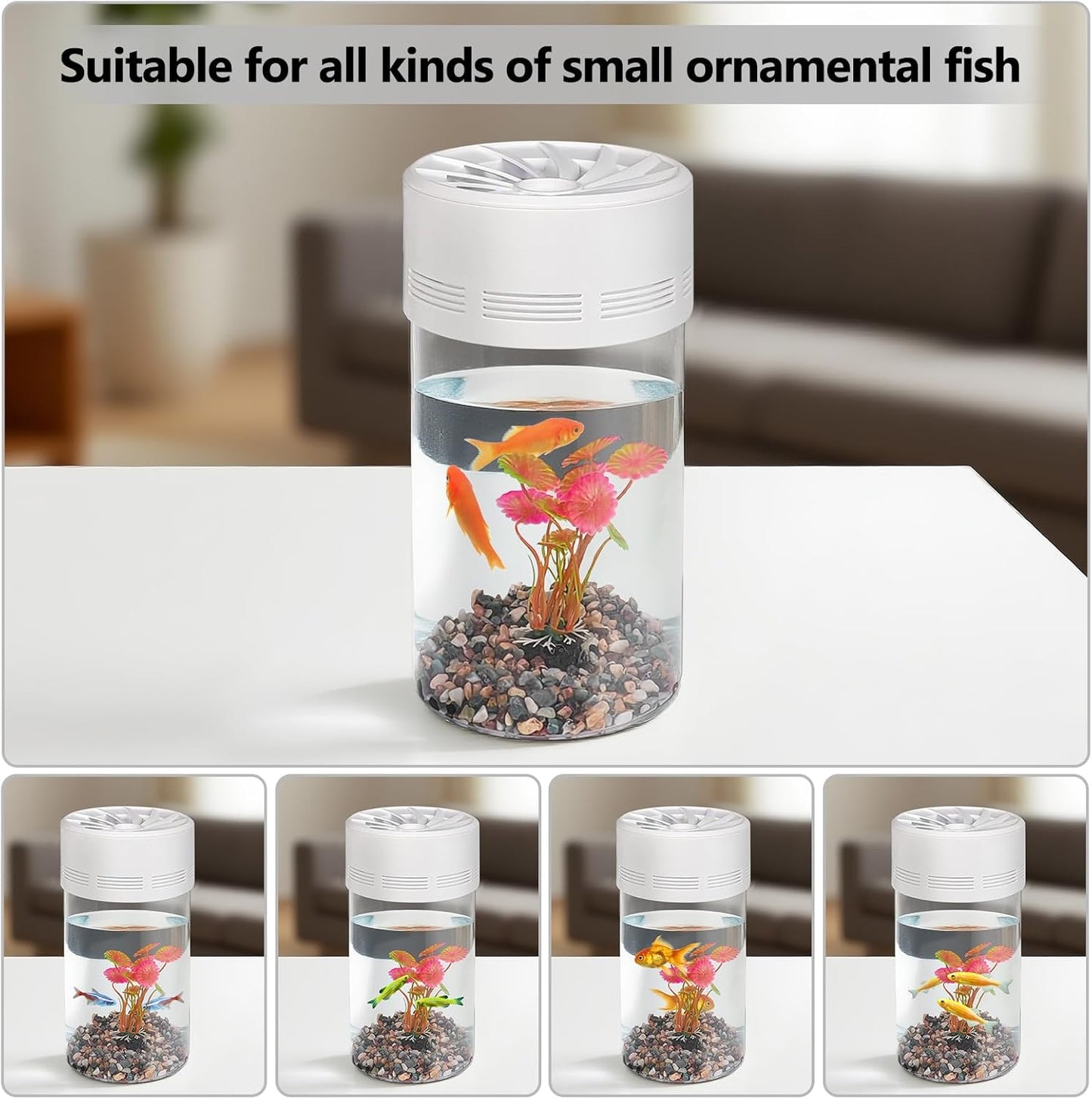 Ecological Fish Tank with LED Attraction Light - Aquarium Starter Kit Includes Decorative Aquatic Plants & Sand - Desktop Small Plastic Transparent Fish Bowl Suitable for Living Room, Bedroom, Office