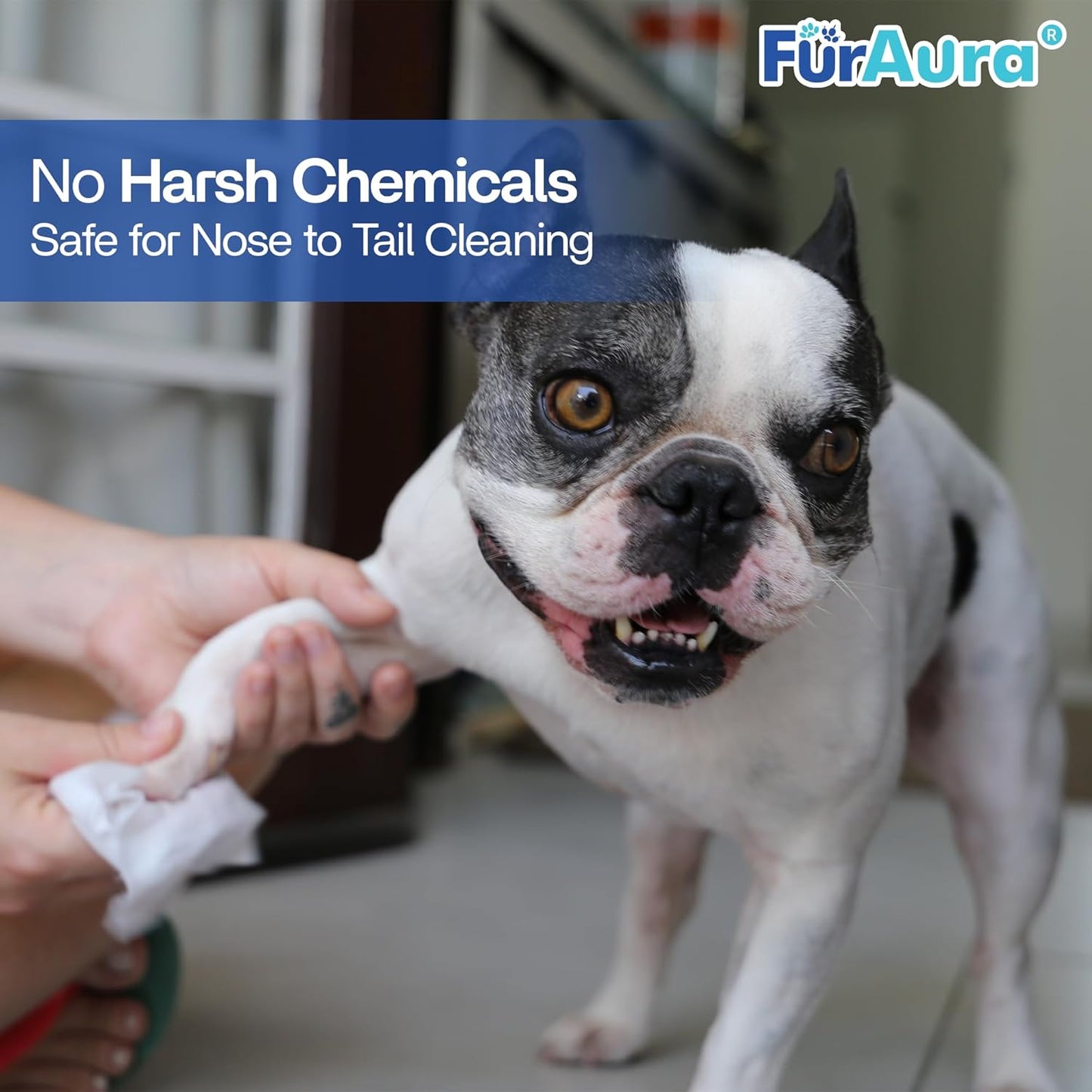 99% Water Dog Wipes, Extra Large 8x8 Puppy Wipes for Sensitive Skin – Hypoallergenic Pet Wipes for Grooming Tear Stain, Face, Ears, Eyes Paws & Butt – Alcohol Free, Biodegradable, Unscented 100 Count