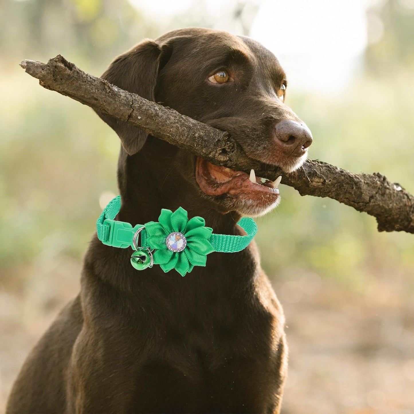 6Pcs Flower Design Cat Collars with Bell Adjustable Decorative Neck Chains for Kitten and Small Dogs Set for Pet Neck Decor and Everyday Use