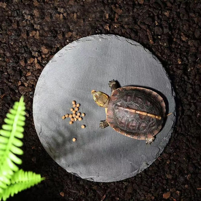Reptile Basking Platform Rock Tortoise Habitat Slate Rock for Reptiles Food Dish Landscape Habitat Decor Accessories for Crested Gecko Lizard Bearded Dragon Turtle