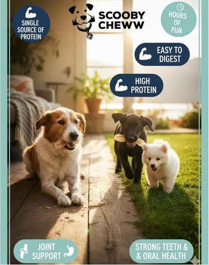 100% Natural Pet Treats 12 Pack Grass Fed Water Buffalo Ears for Dog Unbleached High Protein Beef Cow Ears for Dogs Safe Rawhide Dog Treat Suitable for Small, Medium & Large Breeds Dogs Chews