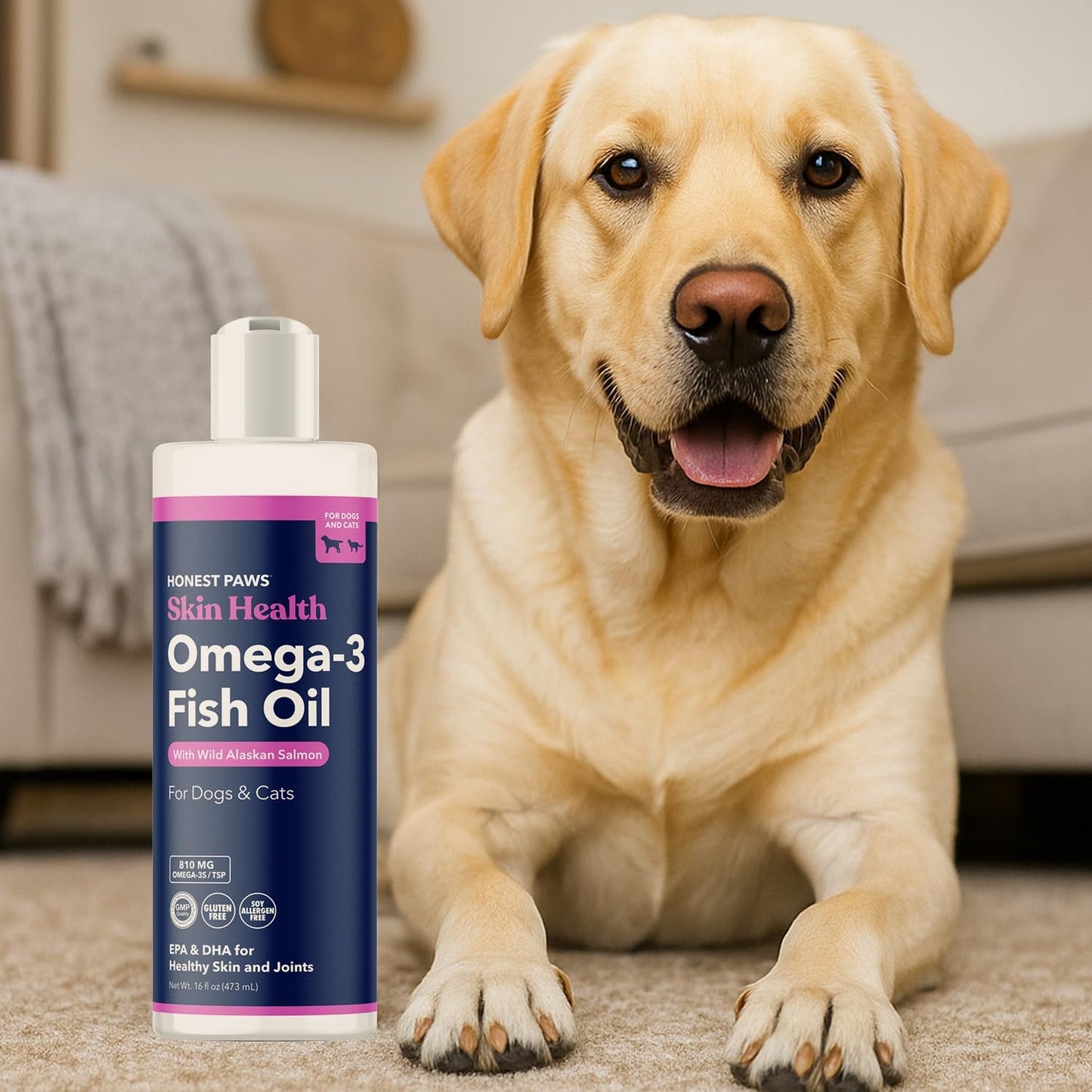 Honest Paws Salmon Oil for Dogs & Cats – Omega 3 Fish Oil Supplement for Skin, Coat, Joint & Heart Health – Natural, Sustainably Sourced Wild Alaskan Salmon, 8 oz