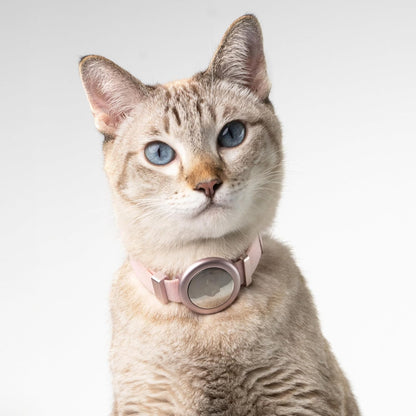 Safety Cat Collar Pro Airtag Holder Set, US IDA Gold Award Cat Collar with Snap, Non Breakaway Elastic Release Cat Airtag Collar Airtag Case for Small Medium Large Cats (Glacier Silver, S)