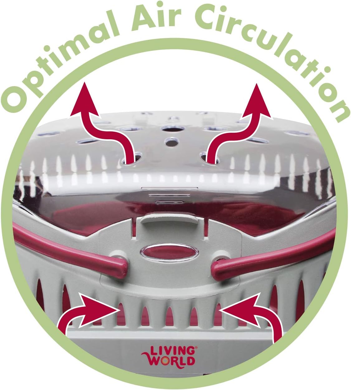 Living World – Pet Carrier for Small Pets, Large