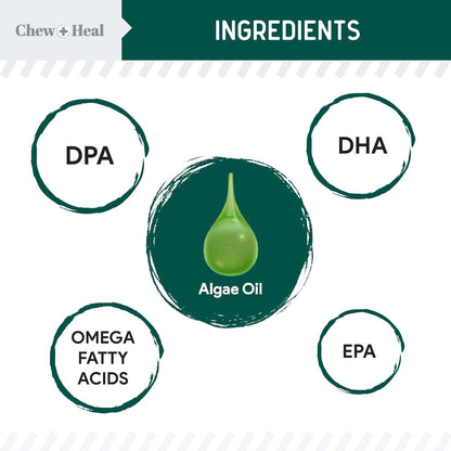 Vegan Omega 3 Oil for Dogs - 4 oz of Fish Free Algae Oil for Healthy Skin and Coat - Made with Omega 3 and 6 Fatty Acids, EPA, DHA, and DPA - Made in The USA