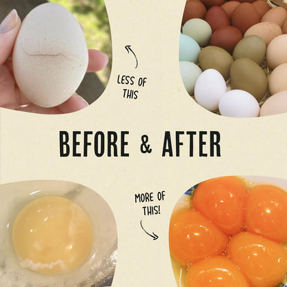 Roosty's Gold Dust Daily Egg Booster - Golden Yolks and Stronger Shells - All Natural Omega-3 Rich - US Made Chicken Supplement - Chicken Health Supplies