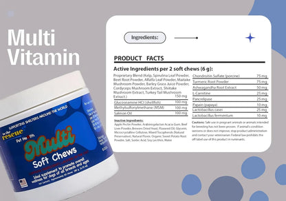 to The Rescue Dog Multivitamin Supplement - Ideal Supplement to Promote Overall Wellness for Dogs of All Breads and Ages - Assist in Maintaining a Healthy and Fit Lifestyle for Your Dog - 60 Chews