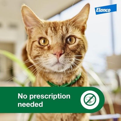 Advantage XD Small Cat Flea Prevention & Treatment For Cats 1.8-9lbs. | 2-Topical Doses, 2-Months of Protection Per Dose