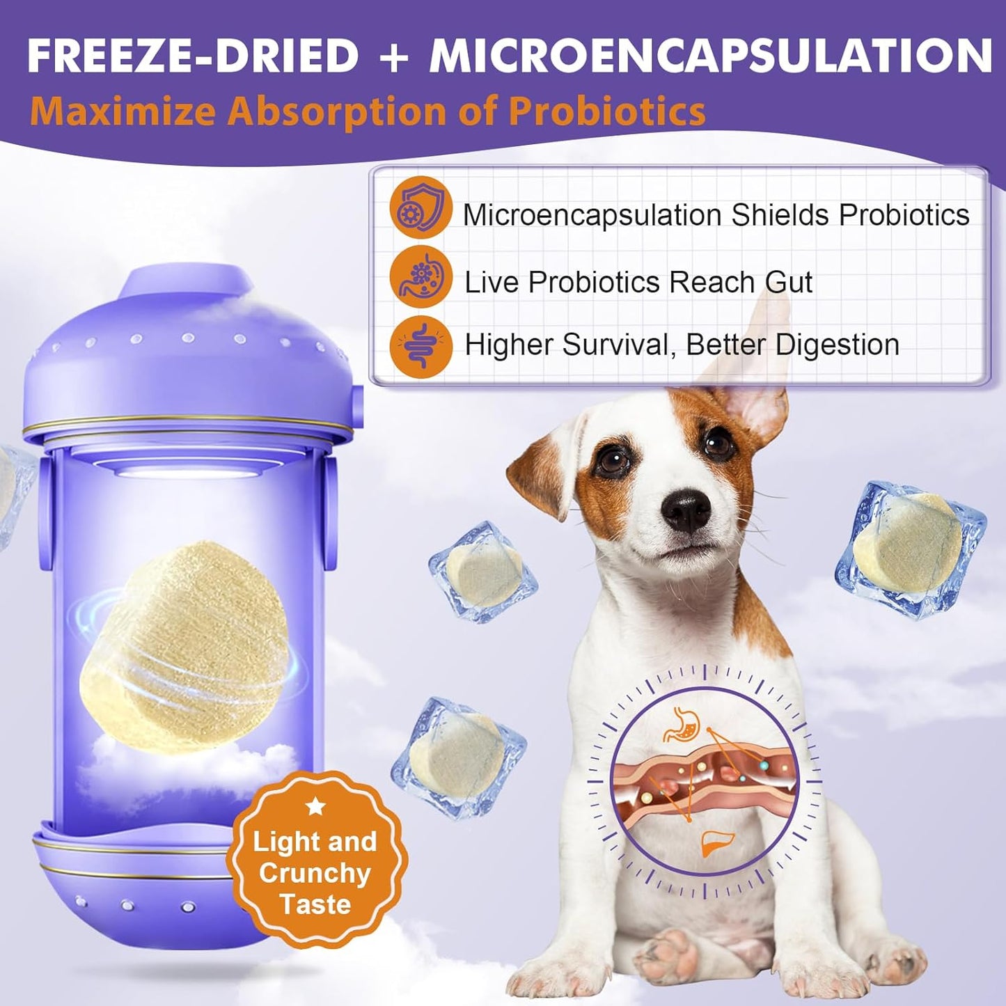 DRFOSTER Probiotics for Dogs, Freeze-Dried Dog Probiotics and Digestive Enzymes, Plus Omega-3 for Itchy Skin, Prebiotics for Digestive Health, Dog Vitamins and Supplements for Immune Health, 180 Bites