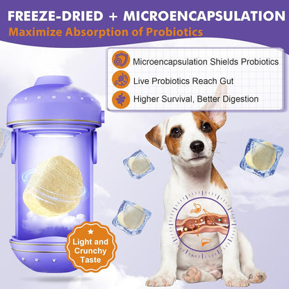 DRFOSTER Probiotics for Dogs, Freeze-Dried Dog Probiotics and Digestive Enzymes, Plus Omega-3 for Itchy Skin, Prebiotics for Digestive Health, Dog Vitamins and Supplements for Immune Health, 180 Bites