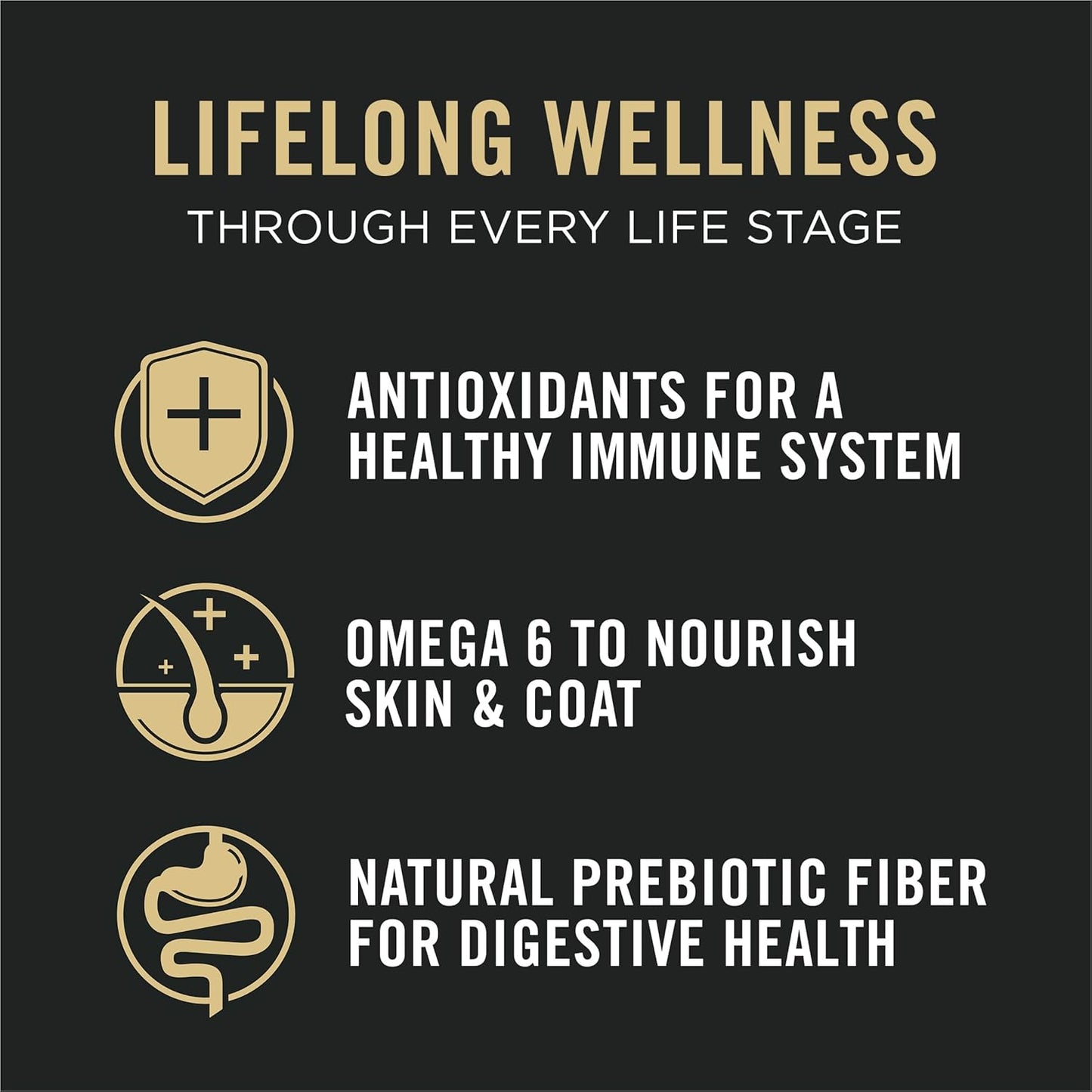 Purina Pro Plan All Life Stages High Protein Cat Food Chicken and Rice Dry Kibble 3.2 Pound (Pack of 1)