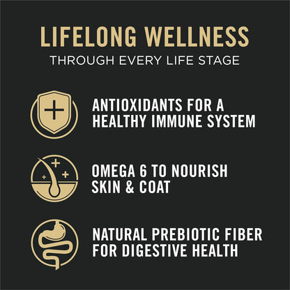 Purina Pro Plan All Life Stages High Protein Cat Food Chicken and Rice Dry Kibble 3.2 Pound (Pack of 1)