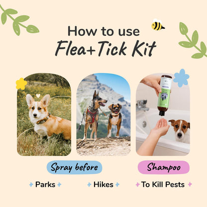 Flea & Tick Spray and Shampoo Kit for Dogs & Cats