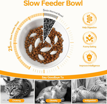 PETTOM Slow Feeder Cat Bowl, Ceramic Raised Cat Slow Feeder Bowl, Elevated, Anti Vomiting for Dry and Wet Food, White (1 Pack)