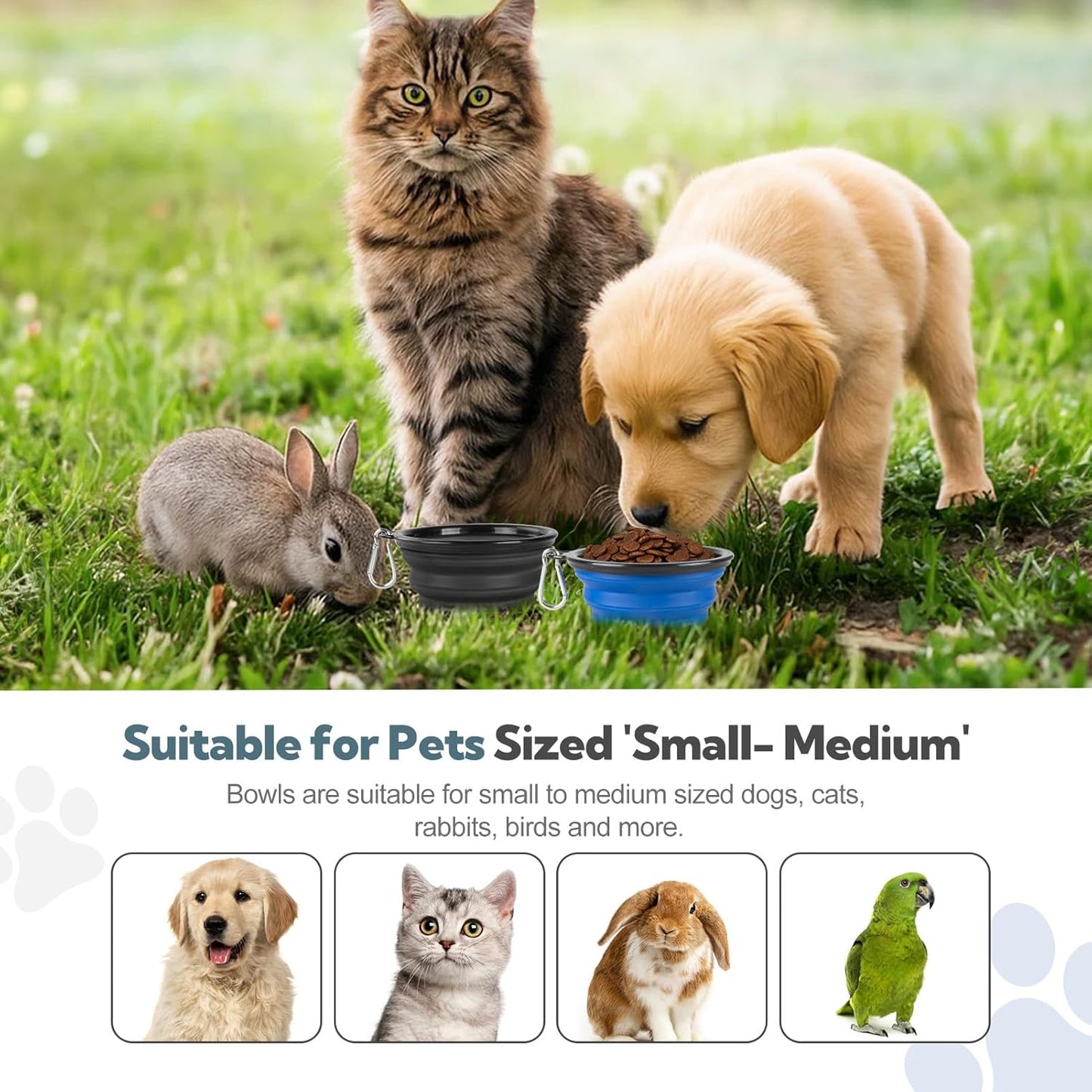 Dog Bowl Collapsible, 2 Pack Portable Foldable Travel Water Bowl Food Dishes with Carabiner Clip for Traveling, Hiking, Walking(12oz, Small, Blue+Black)