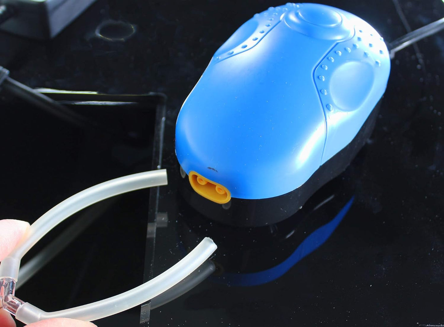 Penn-Plax Water World Luxury Large Bow Front Acrylic Aquarium with Built-in Stand and Storage Top (LM2) – 360° View – Great for Freshwater and Saltwater Fish – 58 Gallons