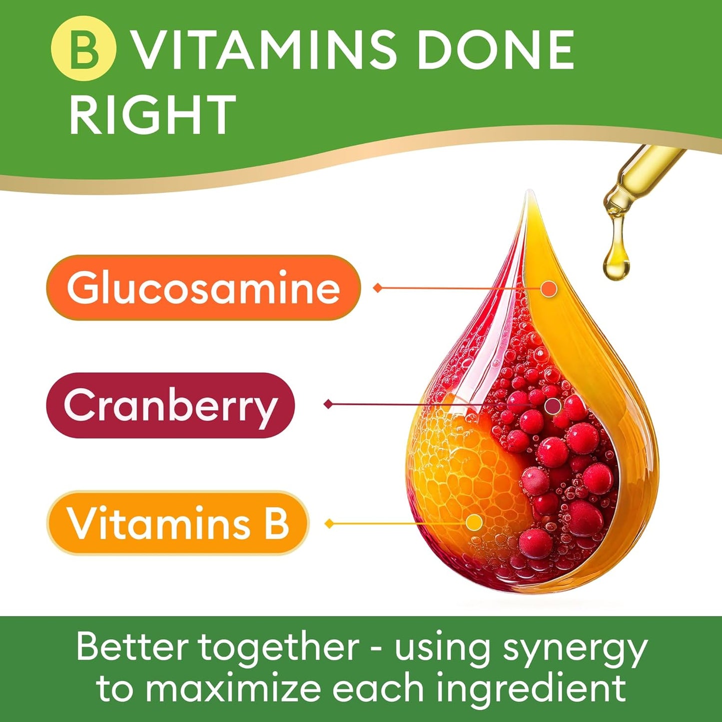 15-in-1 Liquid Multivitamin for Dogs & Cats - Glucosamine for Dogs, Cranberry, Vitamin B Complex - Balanced Ingredients for Joint, Digestive, Immune, Skin & Coat and UTI Support - US Made - 2.0Fl Oz