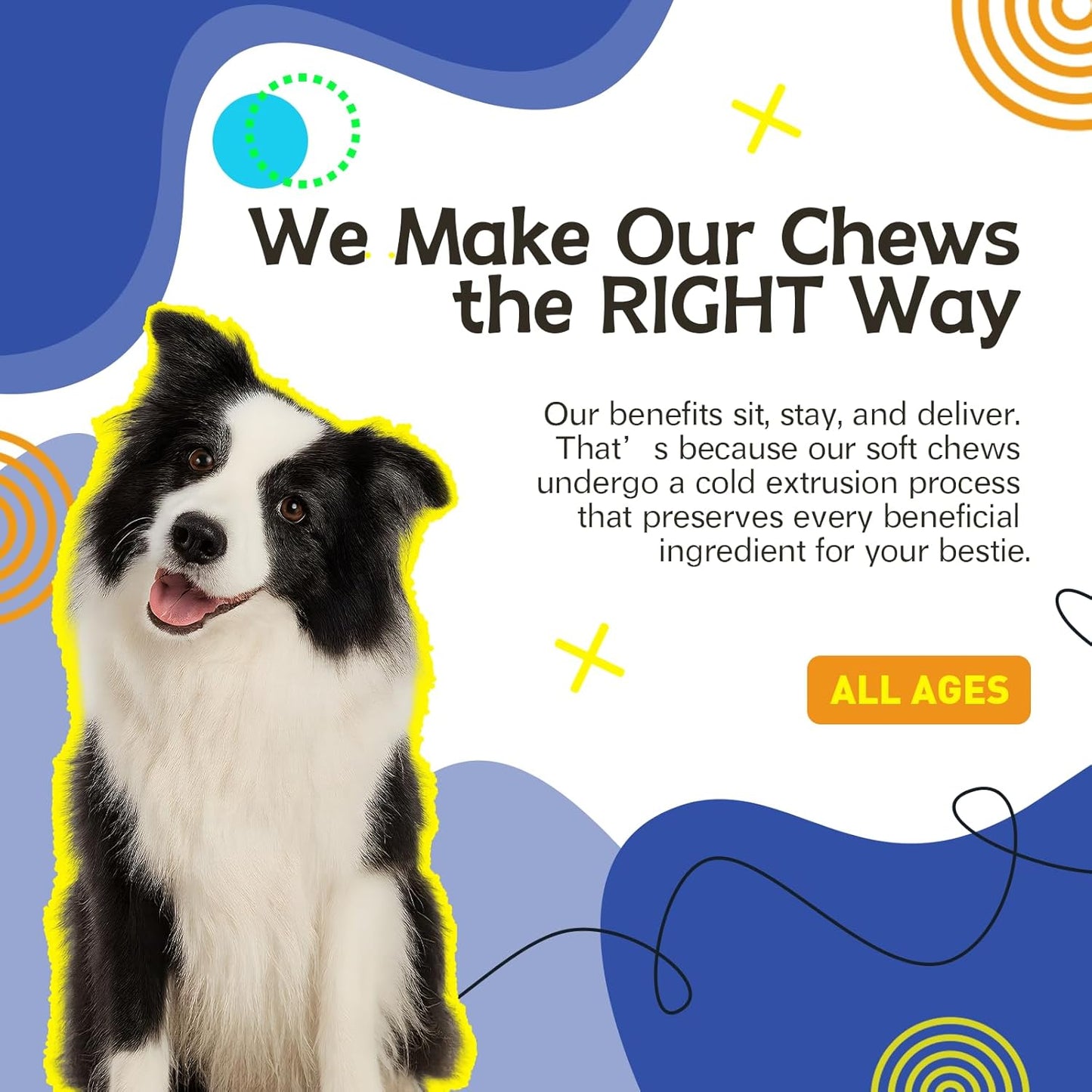 Dog Multivitamins,Chewable Dog Vitamins and Supplements for HIPS, Skin, and Coat,Dog Antibiotics-Multivitamins for Senior Dogs and Puppies,120 Tablets