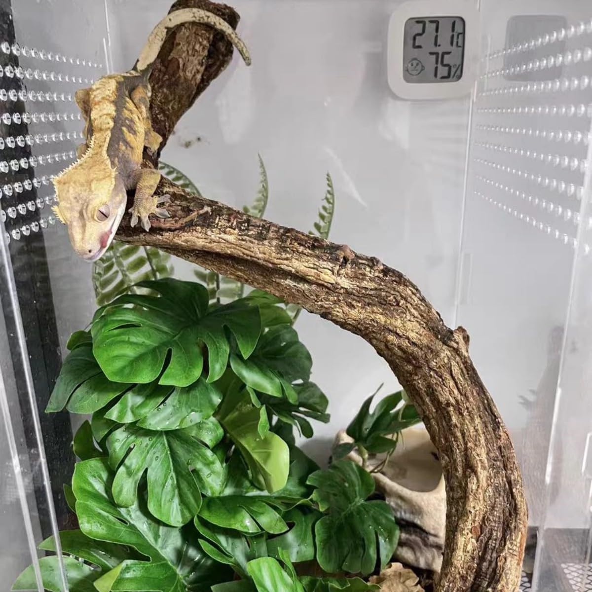 Reptile Plants for Terrarium Decor, Amphibian Habitat Decor, Snake Tank Accessories, Artificial Hanging Plants with Suction Cup-2 Packs (Fake Monstera)