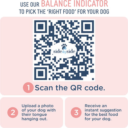 Side by Side Chicken Bowl Booster - Warming Freeze-Dried Dog Food Topper for All Breeds - Made with Nutrients & Whole Raw Foods Toppers for Dogs - No Artificial Additives or Fillers (4 oz, 2-Pack)