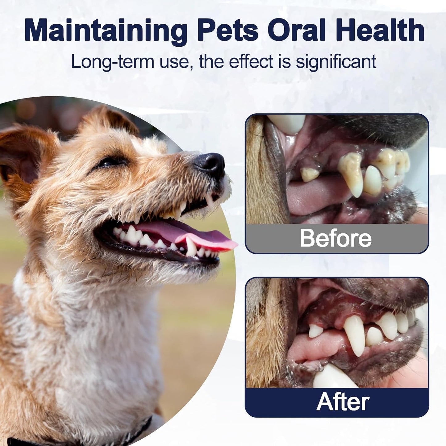 Dog Dental Care - 3.52oz Brown Seaweed Teeth Cleaning Powder, Effective Plaque & Tartar Remover, Bad Breath Treatment