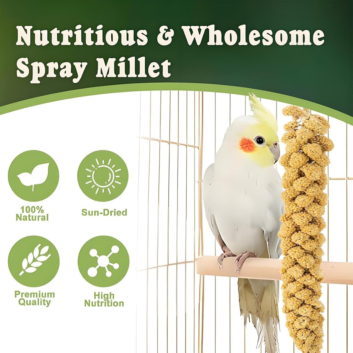 RANZ 1LBS Spray Millet Treat for Pet Birds, Hand-Harvested Bird Snack, Natural Sun-Dried Millet Spray for Parakeets, Parrots, Cockatiels, Lovebirds, Budgies, Finches, Canaries