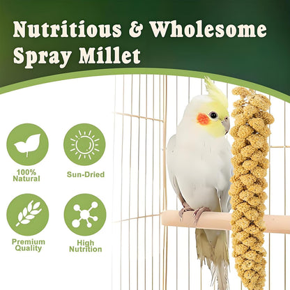 RANZ 1LBS Spray Millet Treat for Pet Birds, Hand-Harvested Bird Snack, Natural Sun-Dried Millet Spray for Parakeets, Parrots, Cockatiels, Lovebirds, Budgies, Finches, Canaries