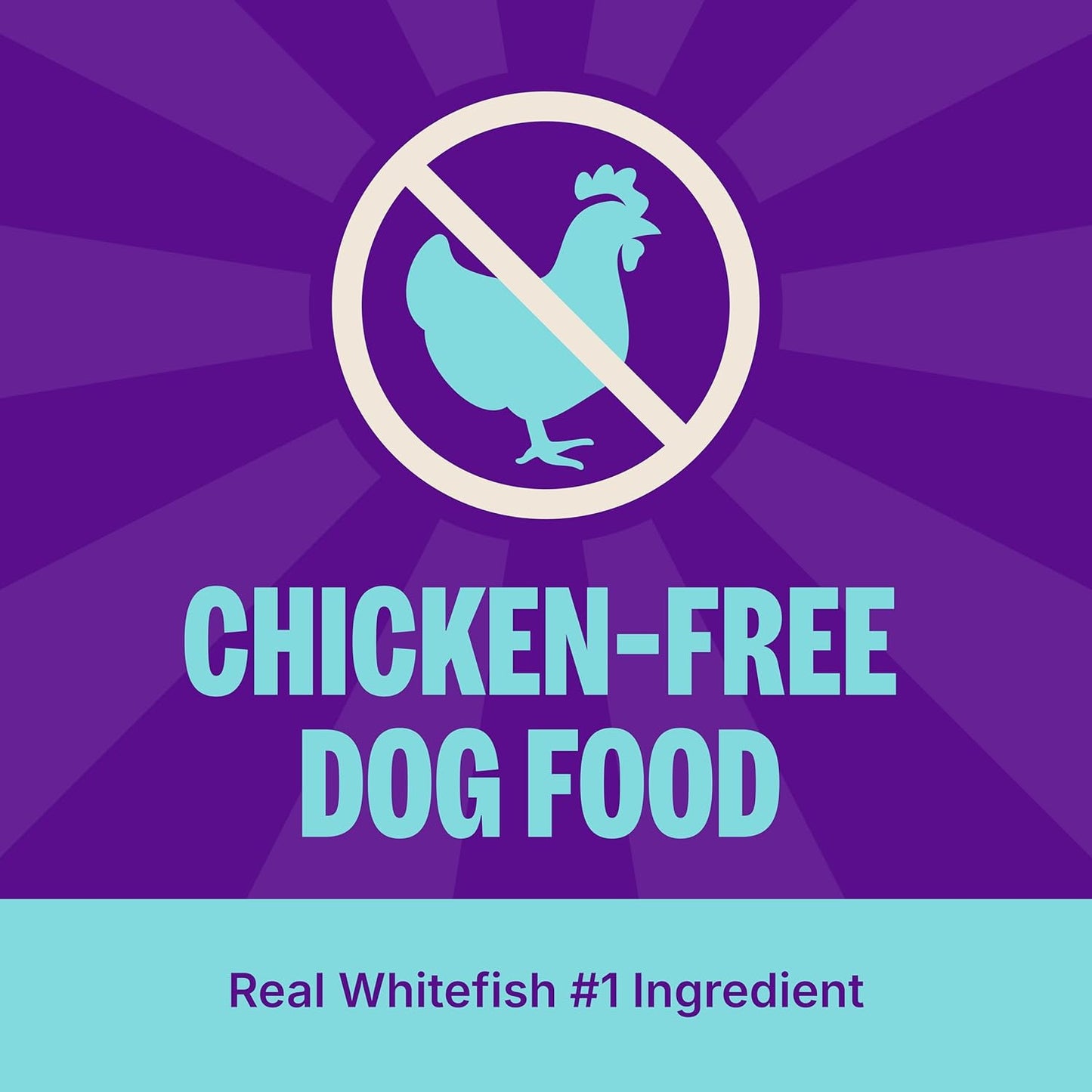 Wellness CORE+ Dry Dog Food with Freeze Dried Pieces, Wholesome Grains, High Protein, Natural, Ocean Whitefish & Herring Recipe, (18-Pound Bag)