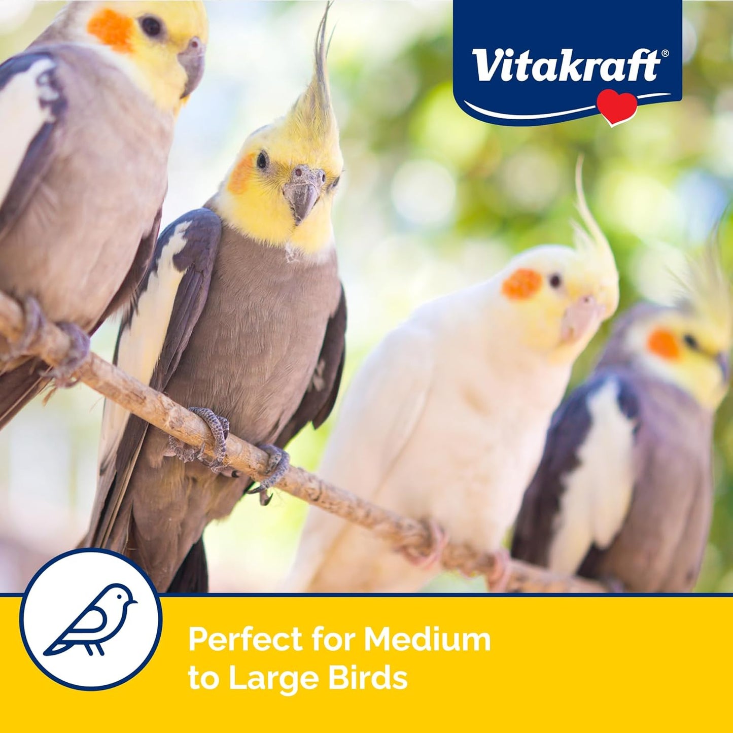 Vitakraft Fresh Super Fruit Cocktail - Tropical Parrot Fruit Blend - Parrot and Parakeet Treats 1.25 Pound (Pack of 1)