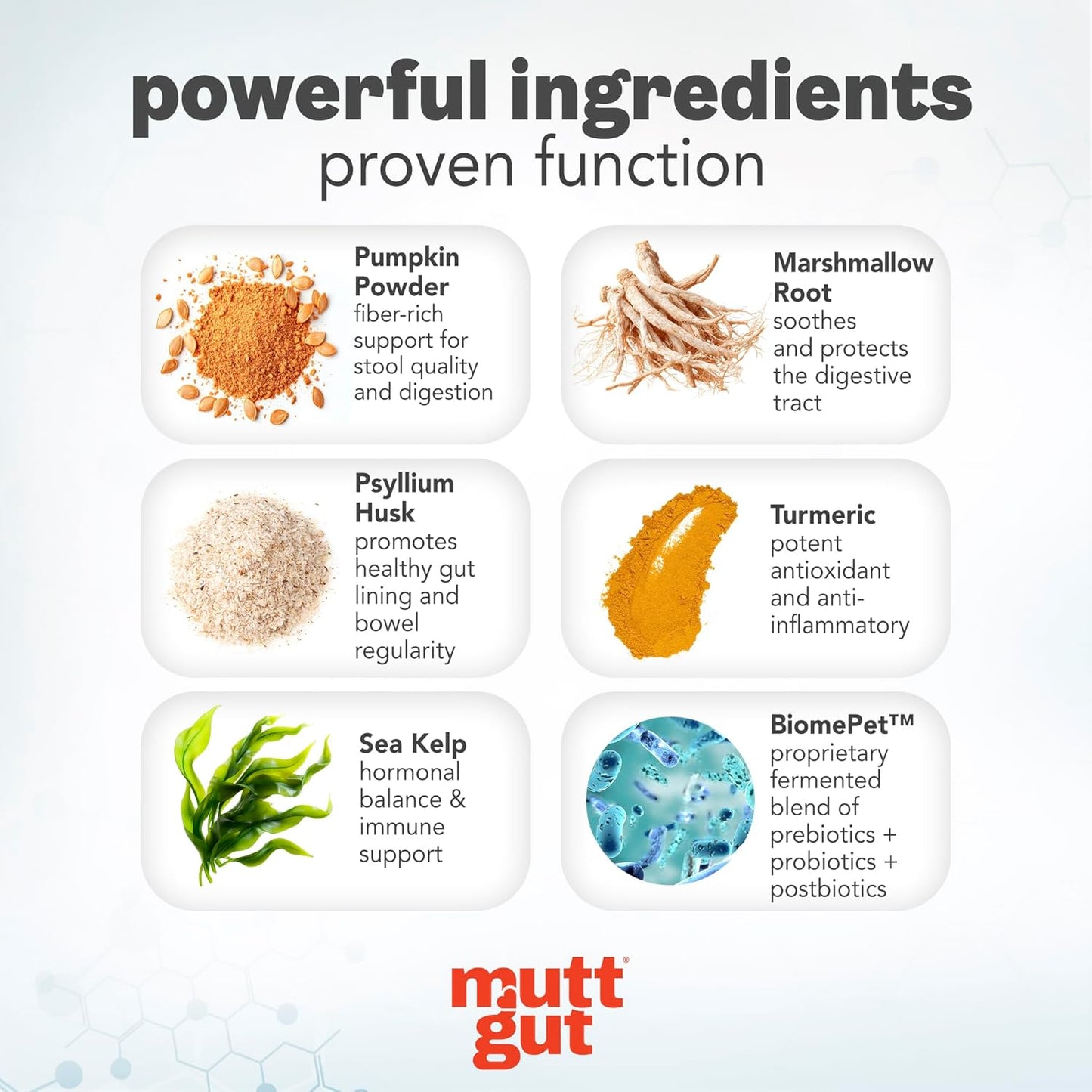 MuttGut® 3-in-1 Puppy & Dog Probiotics + Prebiotics + Postbiotics Chews - Promotes Digestive Health, Supports Immune System and Overall Health - Dog Diarrhea Relief & Immune Support - 60 Soft Chews