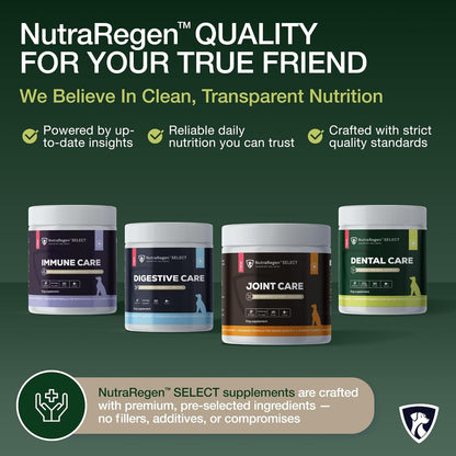 Select Senior Dog Digestive Probiotic Powder and Dental Support Bundle | Pet Dental Powder & Dog Breath Freshener, 7 Bn CFU | 60 Servings, 6.7 oz