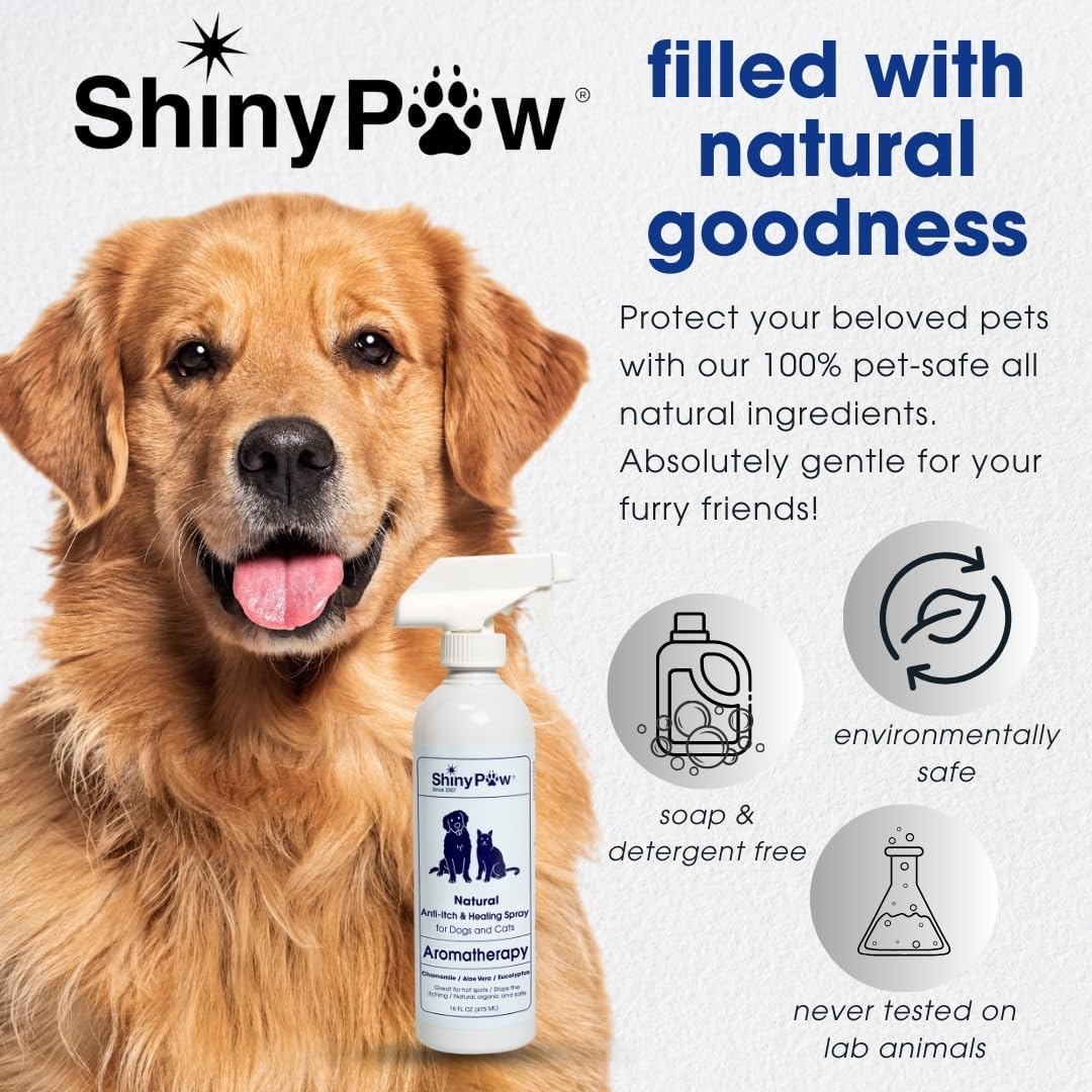 Dog Itch Relief Spray by Shiny Paw 16 oz | Aloe Vera & Eucalyptus Skin Itch Remedy | Dog Hot Spot Spray | Natural Anti Itch Spray for Pets | Dog Itchy Skin Relief | Made in USA