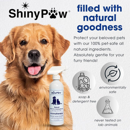 Dog Itch Relief Spray by Shiny Paw 16 oz | Aloe Vera & Eucalyptus Skin Itch Remedy | Dog Hot Spot Spray | Natural Anti Itch Spray for Pets | Dog Itchy Skin Relief | Made in USA