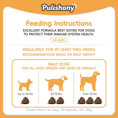 Multivitamin Treats for Dogs - Glucosamine Chondroitin for Joint Support + Digestive Enzymes & Probiotics - Grain Free Dog Vitamin for Skin & Coat + Immune Health+Liver Health - Chicken Flavor - 90ct