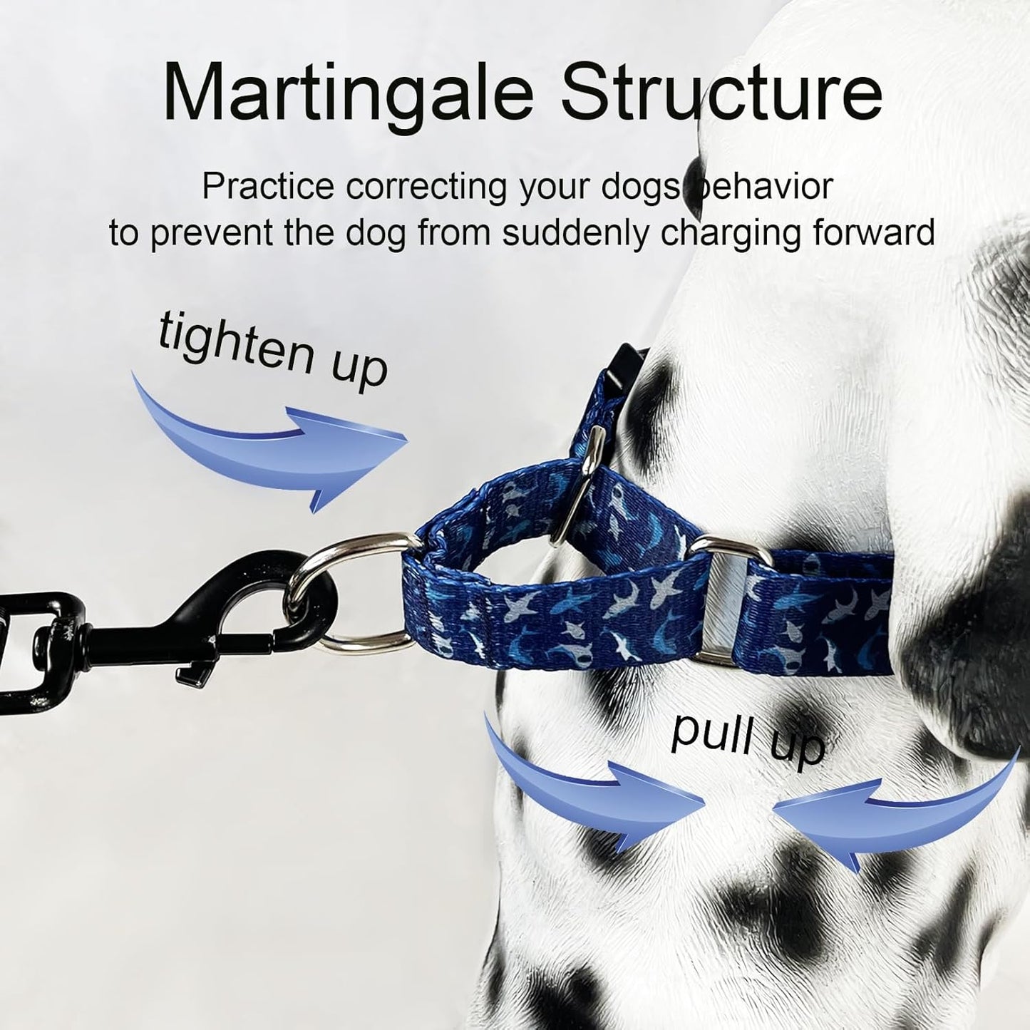 Martingale Collar for Dogs with Buckle Heavy Duty Boy Dog Collar for Medium Dogs, Deep Blue Shark
