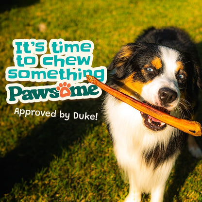 Junior Bully Sticks 6" Beef Bladder — 15 Count | Natural Single-Ingredient, Long-Lasting Dog Chews; Dental Support Treats for Pups and Small Dogs. Puppy Chew Sticks