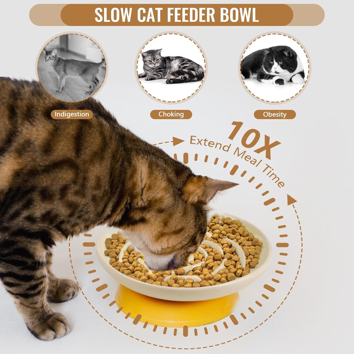 Shallow Elevated Cat Bowls with Bamboo Stand, 5.9 Inch Raised Slow Feeder Cat Bowl and Wide Ceramic Cats Bowls Whisker Friendly, 2 Pack Pet Dishes for Dry and Wet Food Dishwasher Safe