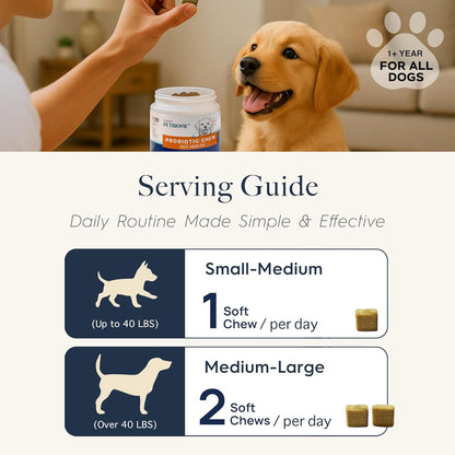 Oraticx PetBiome Probiotic Chew for Dogs - Supports Daily Digestive Health, Gut Balance, and Immune System - with Ginger Root, and Pumpkin Seed - Chicken Flavor, 90 Soft Chews