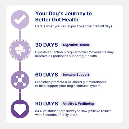 Probiotics for Dogs,Dog Probiotic Supplements,Canine Nutritional Supplement,Health Supplies,Gastrointestinal Health Promotes Digestion and Nutrient Absorption, 90 Soft Chews