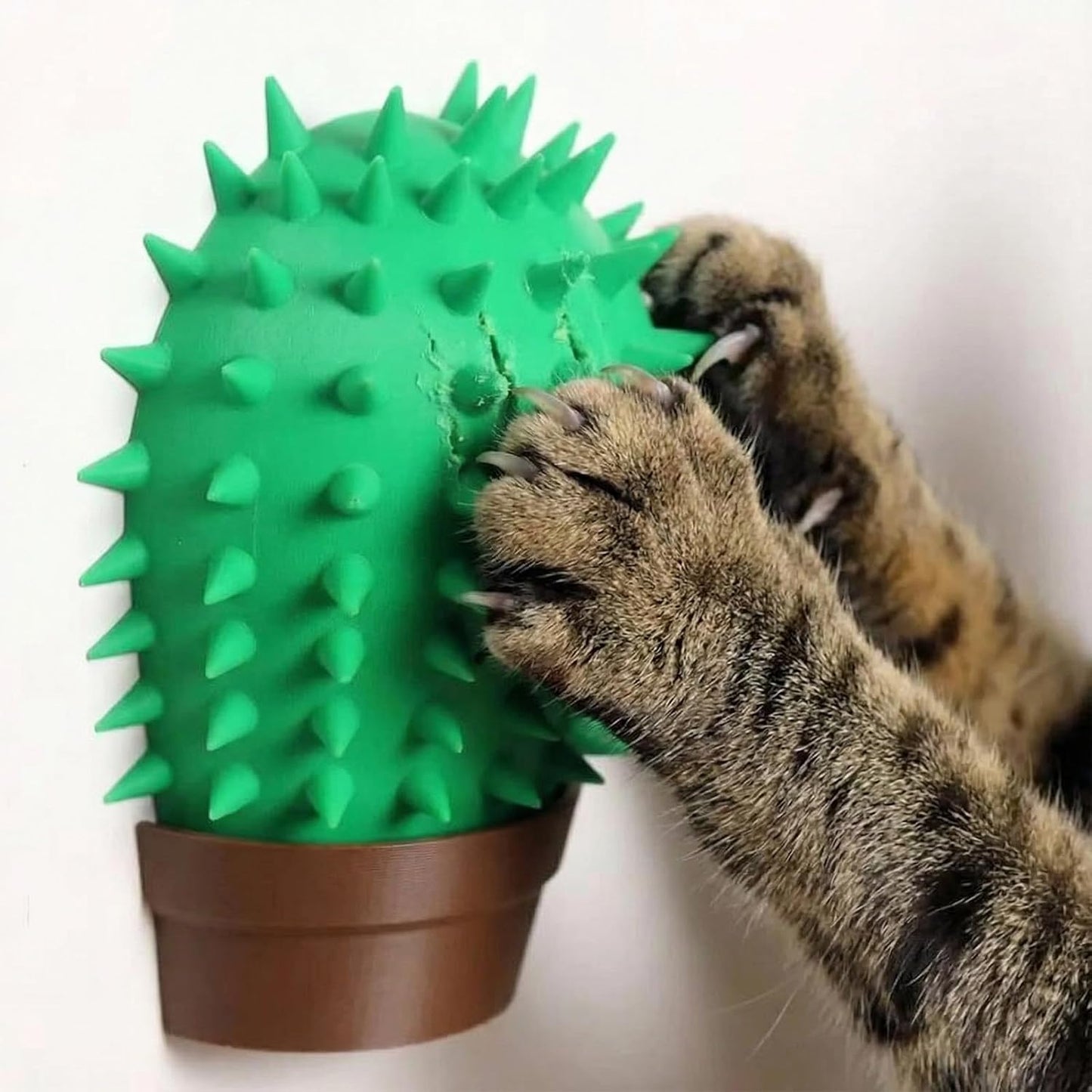 PetPhindU Cat Face Scratchers Self Groomer for Clawing, Stretching, and Grooming Built-in Catnip Compartment Wall Mounted Corner Brush (Green,One Size)