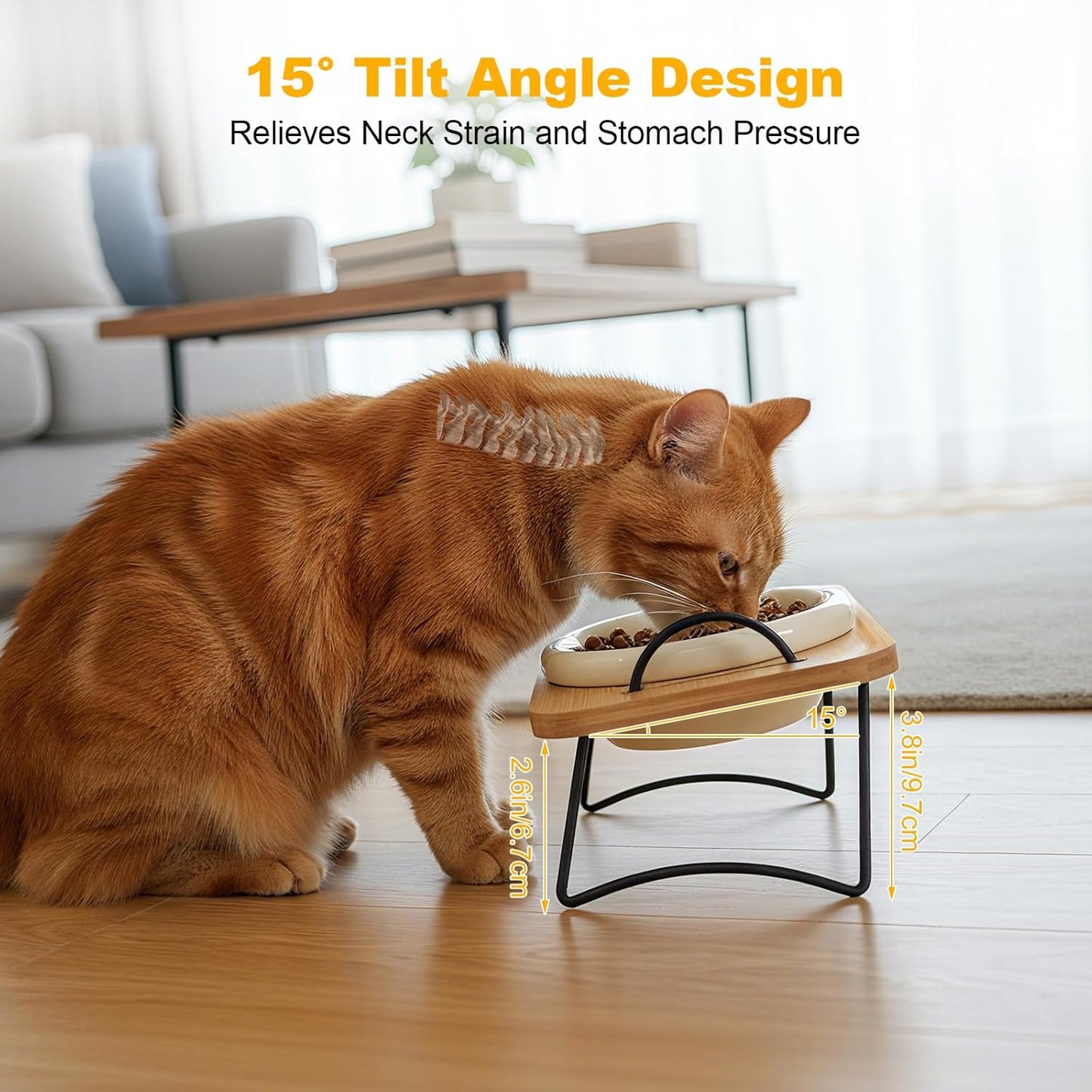 Raised Cat Ceramic Bowls with Wood Stand Kitty Elevated Bowls for Food and Water with Tilted Design Anti-Vomiting, Pet Bowl Set with Stainless Steel Base for Cats and Puppy by TDTOK