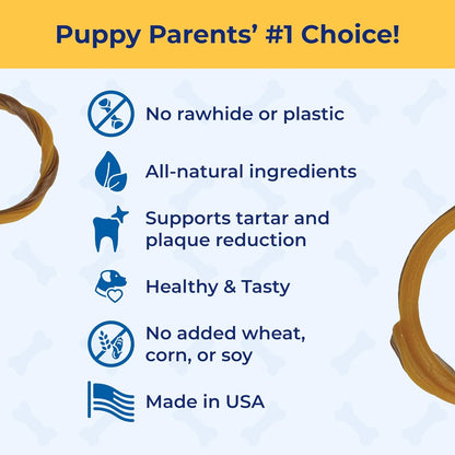 N-Bone Puppy Teething Ring Pumpkin Flavor 7.2 OZ/(6 Pack)