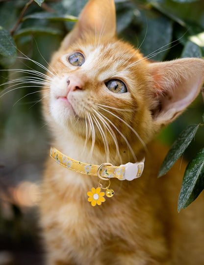 Cat Collar Breakaway with Bells,3 Pack Safety Adjustable Pet Collars,Ideal for Girl Boy Kittens. (White Yellow Pink)