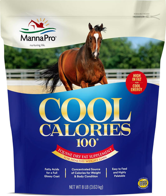 Manna Pro Cool Calories 100 – High-Calorie Dry Fat Supplement for Horses – Supports Healthy Weight Gain, Body Condition, and Performance – Equine Weight Gain Formula – 8 lb Bag