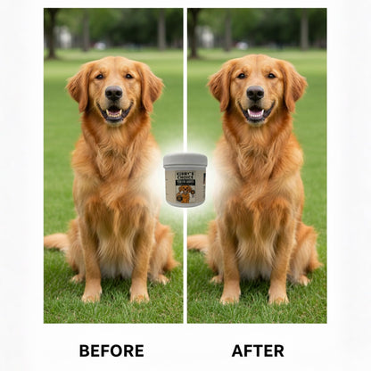 Kirby's Choice Dog Ear & Teeth Cleaning Wipes Bundle – 100 Total Finger Wipes (2 Canisters) – Gentle Pet Oral Care & Ear Cleaner – Safe, Durable & Easy to Use for Dogs & Cats – 100% Kirby Approved