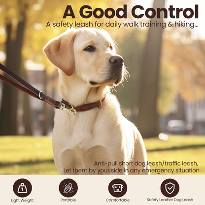 Leather Dog Leash, Strong Traffic Pet Short Lead & Heavy Duty Metal Hook for Training and Walking. (2.0ft L x 2.5cm W)