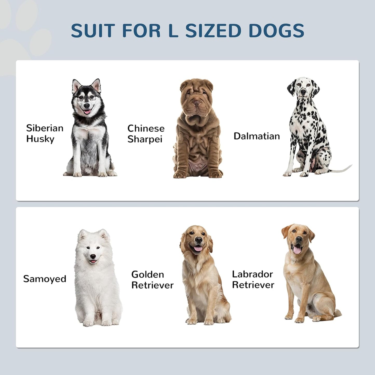 GREAZ Modern Elevated Dog Bowl Stand with Storage Cabinet for Healthier Meals, Stylish and Functional, for Larger Dogs, White