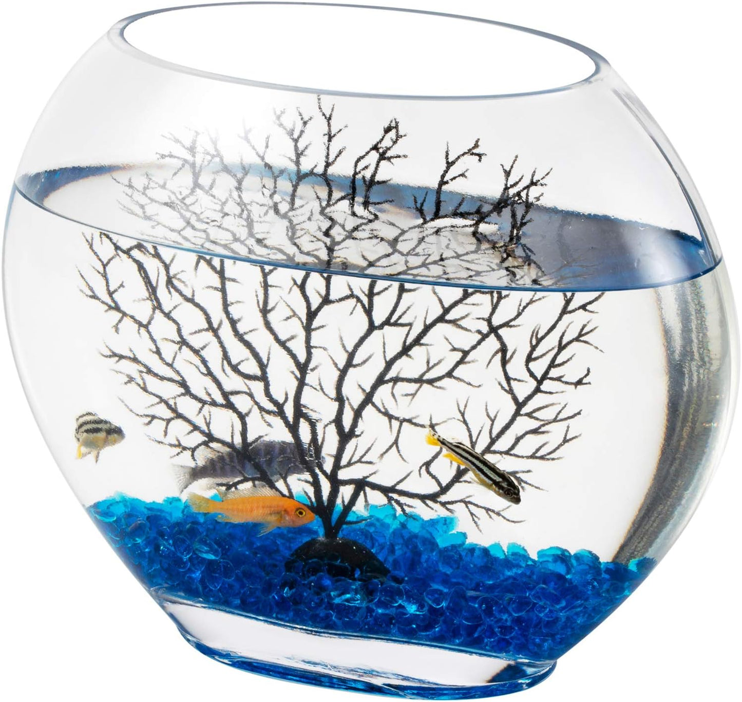hygger Mini Glass Oblate Fish Bowl Kit, Small Fish Tank Comes with Blue Aquarium Decor Stones and Plastic Fan Branch Tree Ornament